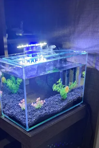Vendo aquário completo