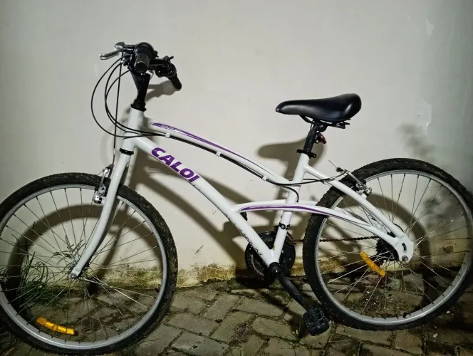 Bicicleta Caloi 100
