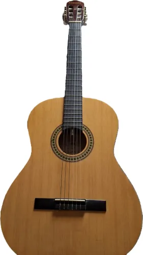 Violao Giannini GCX 103 com capa