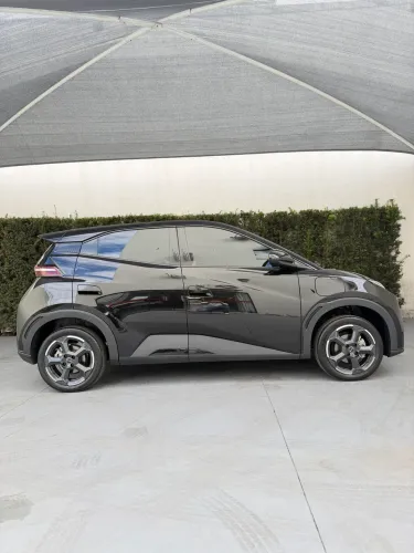 BYD Dolphin Mini (Elétrico) 2024