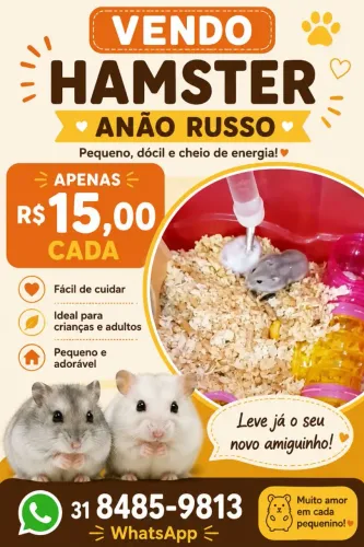 Hamster Fofinhos