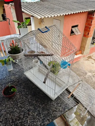 Gaiola para calopsita