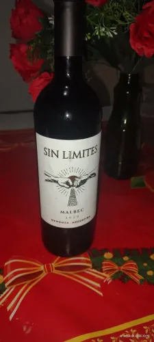Vinho SIN LIMITES malbec 2020 Mendoza/Argentina