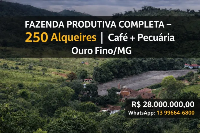 Fazenda café/pecuaria Ouro fino Mg