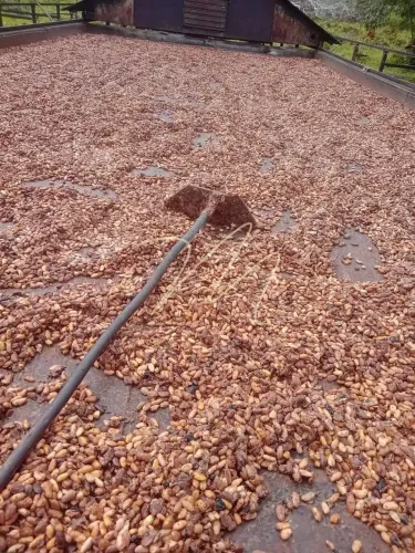 Chácara à venda, Rural, Itacaré, BA