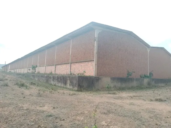 ALUGO TRÊS GALPÕES EM VITÓRIA DE SANTO ENTÃO -PE