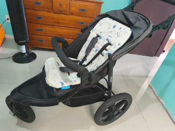 Carrinho de bebê Infanti Flux