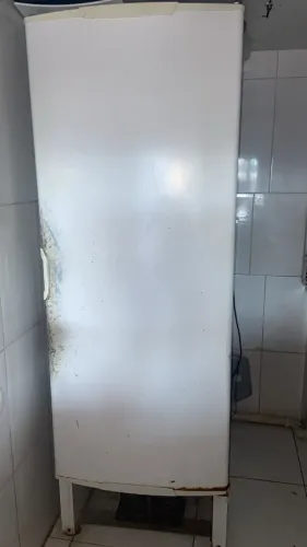 Freezer vertical