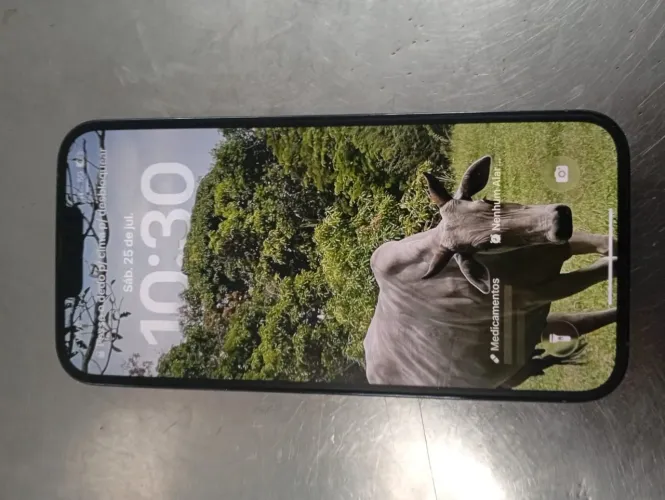 IPhone 12 Pro Max 256 Gb nota fiscal e caixa