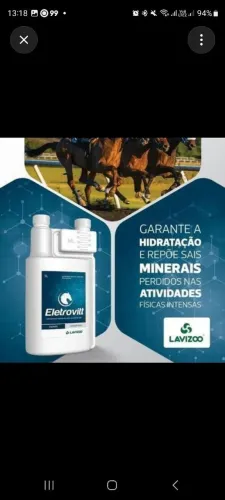 Eletrovit (Eletrolítico para equinos)