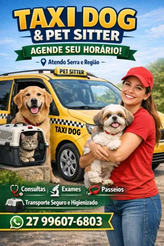 Taxi dog e pet sitter. Transporte de pet.