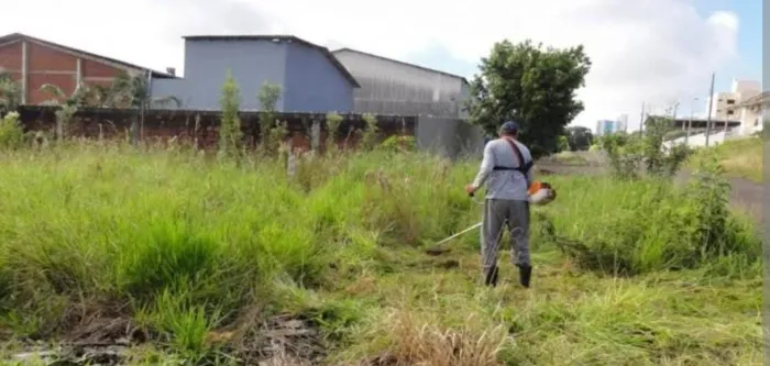 Limpeza de terrenos 