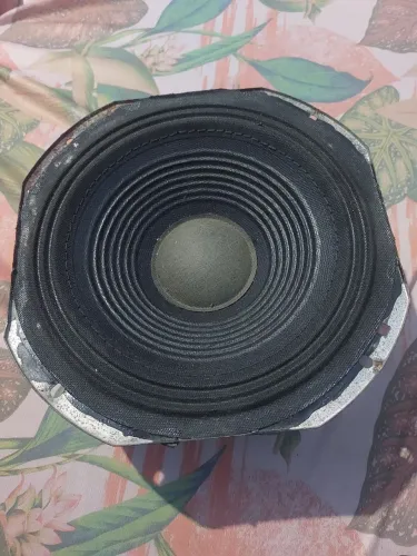 Medio grave de 8 polegadas... obs: com aro da Sony 8 homs 100w rms