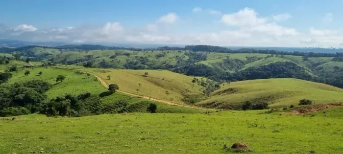 FAZENDA A VENDA EM CAPÃO BONITO-SP ?? Área Total: 390 Hectares ou 161 Alqueires Área de Pa