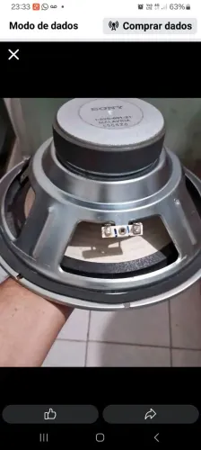 Alto-falante de 10 polegadas 
