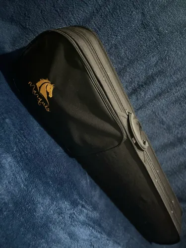 Violino para iniciantes