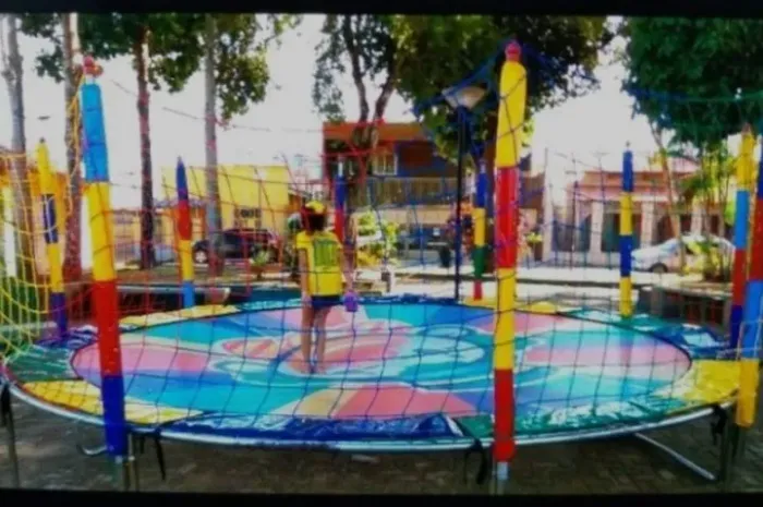 Vendo esse pula_pula por apenas 500$