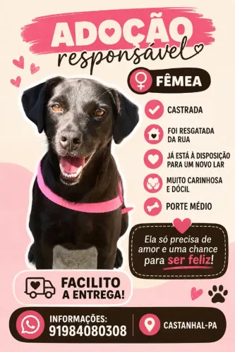 Doação responsável