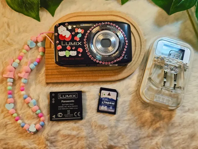 Camera lumix panasonic s5