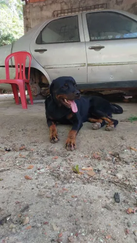 Disponível para cruzar