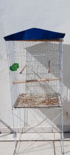 Gaiola pra pássaro