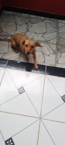 Doacoes