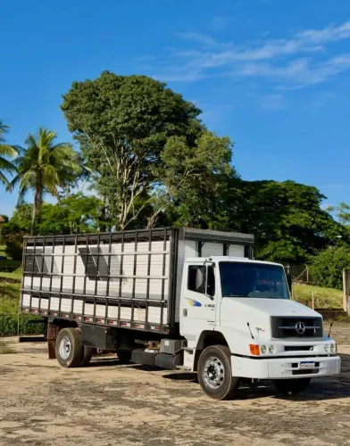 Mercedes Benz 1620 boiadeiro