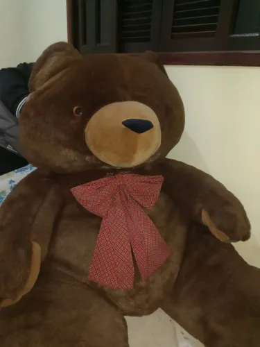 Urso gigante tem mais ou menos 1 metro e meio