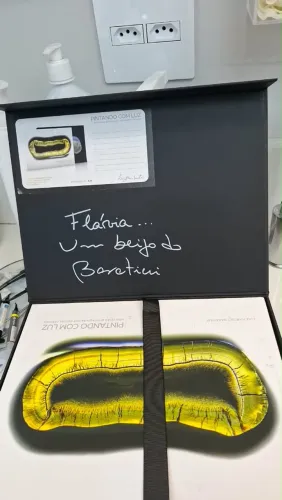 Pintando com luz Livro