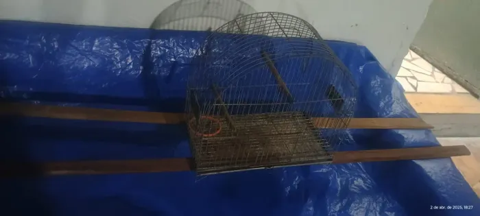 Gaiola