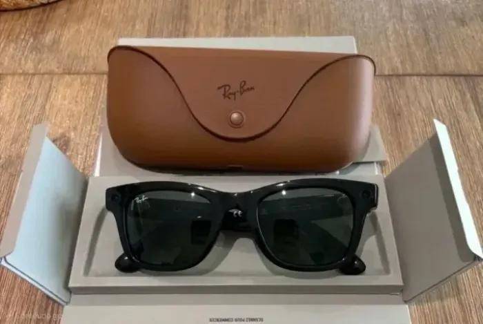 Ray-Ban Meta Wayfarer RW4008
