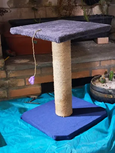 ARRANHADOR DE GATO