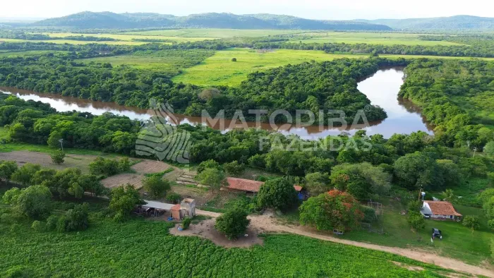 Fazenda à Venda no Oeste da Bahia | 200 Hectares | Rio Corrente | Pecuária | Dupla Aptidão