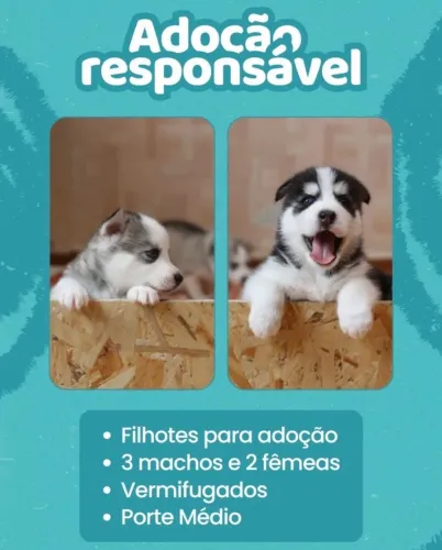 Doação