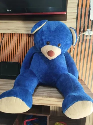 Urso grande lindo