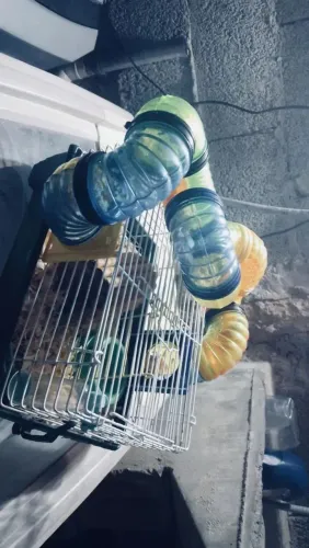 Vende-se casinha para Hamster com brinquedos e equipamentos para alimentação !!