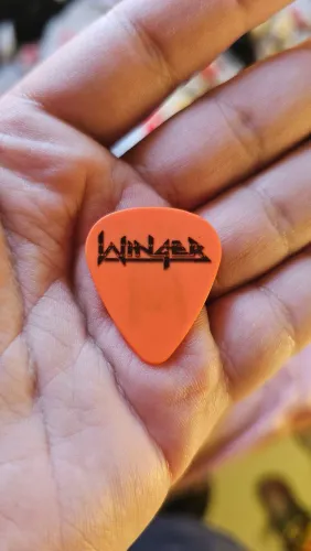 Palheta Winger Reb Beach Rara