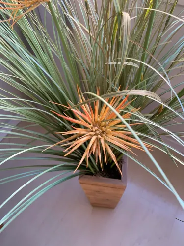 Planta artificial permanente 
