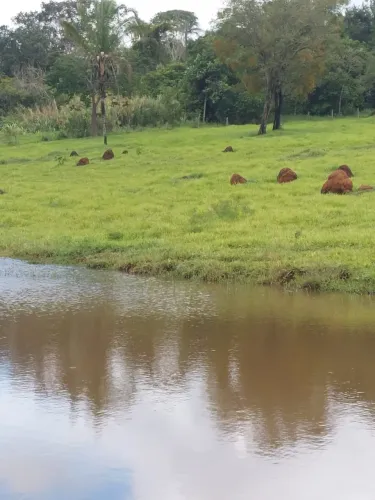 Fazenda a venda, em Corumbá de Goiás!!!