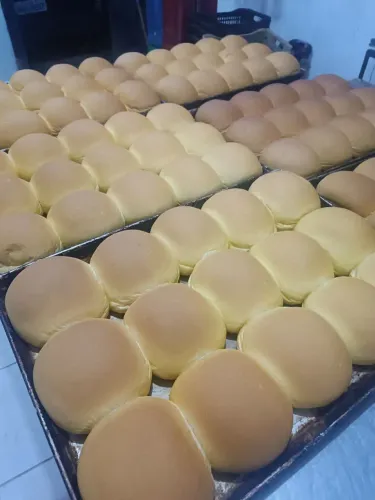 PÃO DE HAMBÚRGUER E HOT DOG 