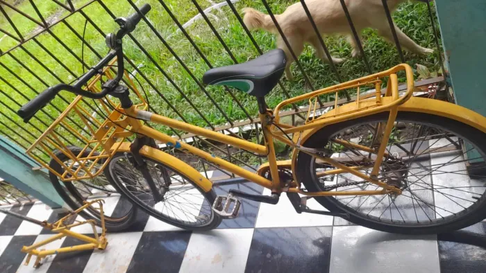 VENDO BICICLETA POTY CARGA, ARO 29, PEDALEIRA DE ALUMÍNIO, CÂMBIO DE TRÊS MARCHAS,.