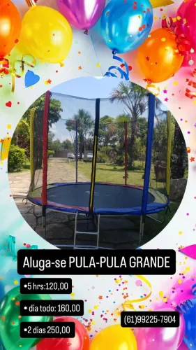 Pula pula grande ( cama elástica )