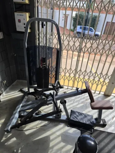 Remada Gurick similar a precor