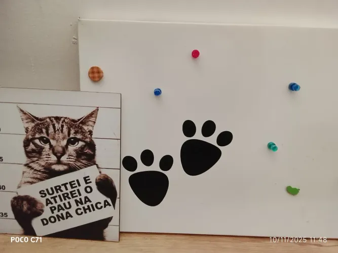 PORTA RETRATO COM IMÃ.