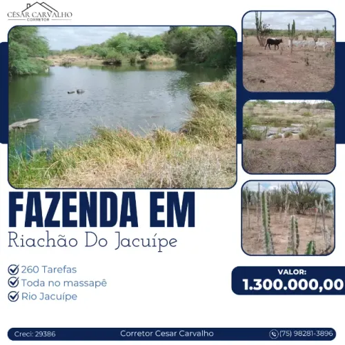FAZENDA EM RIACHÃO DO JACUÍPE - 260 TAREFAS