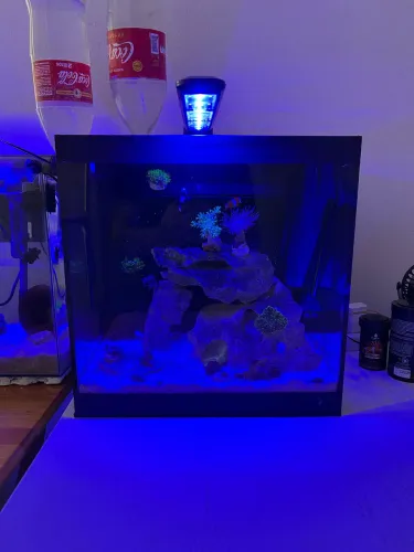 Luminária Nano Light Marine 40 Ocean Tech