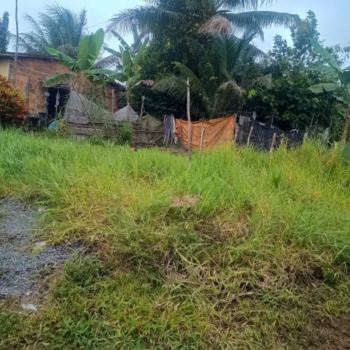 Terreno 12,6 CAMASSANDI BA