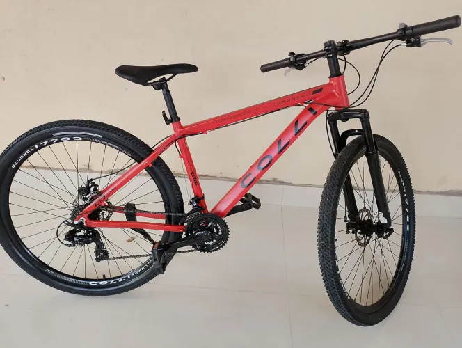 Bike aro 29