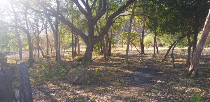 Chácara na região de Taquarussu grande 