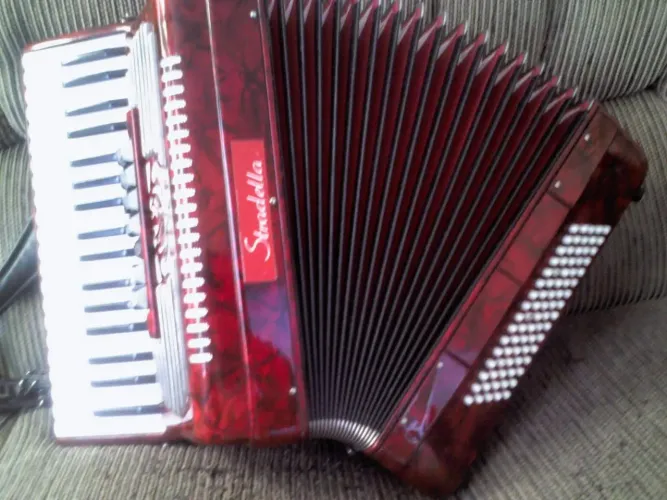 Vendo Acordeão Sanfona